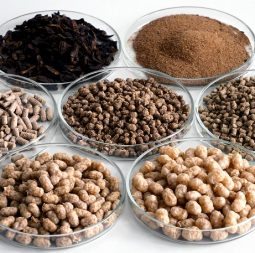Lab-scale-testing-of-novel-fish-feed-ingredients